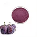 Prune powder flavor